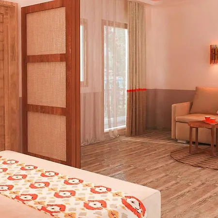 Holiday Asteris Village - Skg02003-cyc